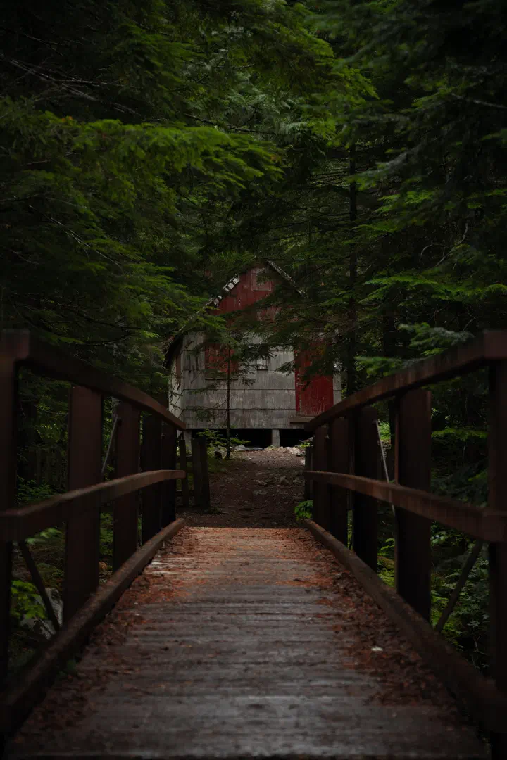An old cabin in the middle of a forest. Monte Cristo Ghost Town, Washington.