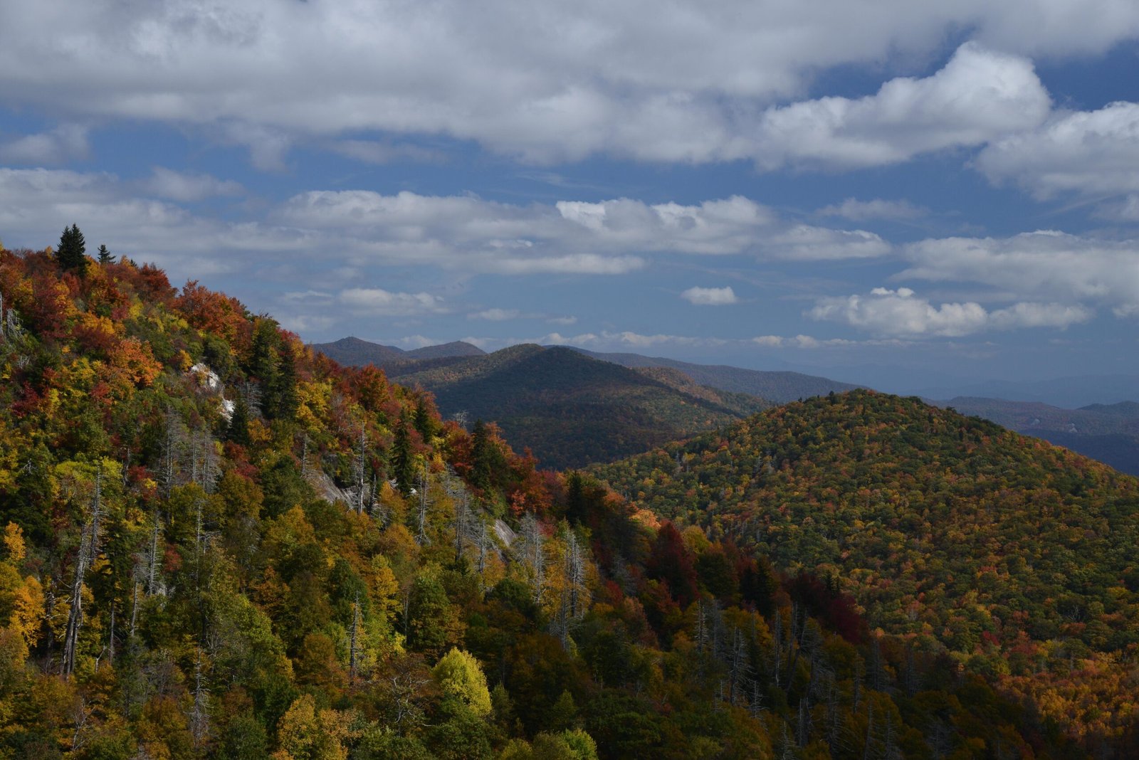 When and Where to See Fall Foliage in the U.S.